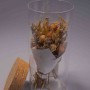 Fiori essiccati in barattolo di vetro - Assortiti