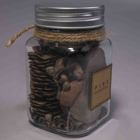 Potpouri in barattolo - Pino ed Eucalipto