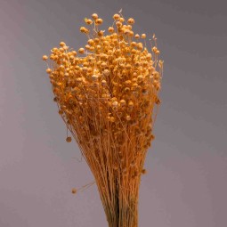 Lino in sacchetto - 100 G / Pesca