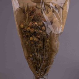 Nigella essiccata in mazzo - 52 Cm / Naturale