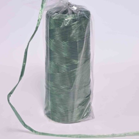 Raphia sintetica - 200 G / Verde