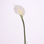 Calla "Real touch" - 75 Cm / Bianco
