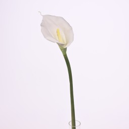 Calla "Real touch" - 75 Cm / Bianco