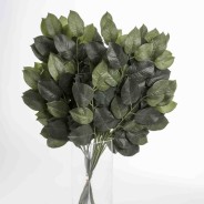 Fogliaggio di Limone 12 Pezzi - 66 Cm / Verde