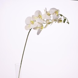 Orchidea Phalaenopsis "Real touch" in ramo - 105 Cm / Bianco