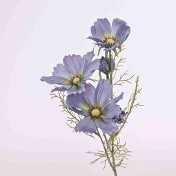 Cosmos ramificato - 62 Cm / Lavanda
