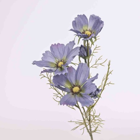 Cosmos ramificato - 62 Cm / Lavanda