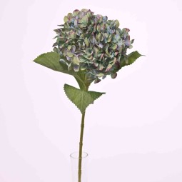 Ortensia in ramo - 65 Cm / Verde