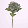 Ortensia in ramo - 65 Cm / Verde