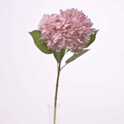 Ortensia in ramo - 65 Cm / Rosa