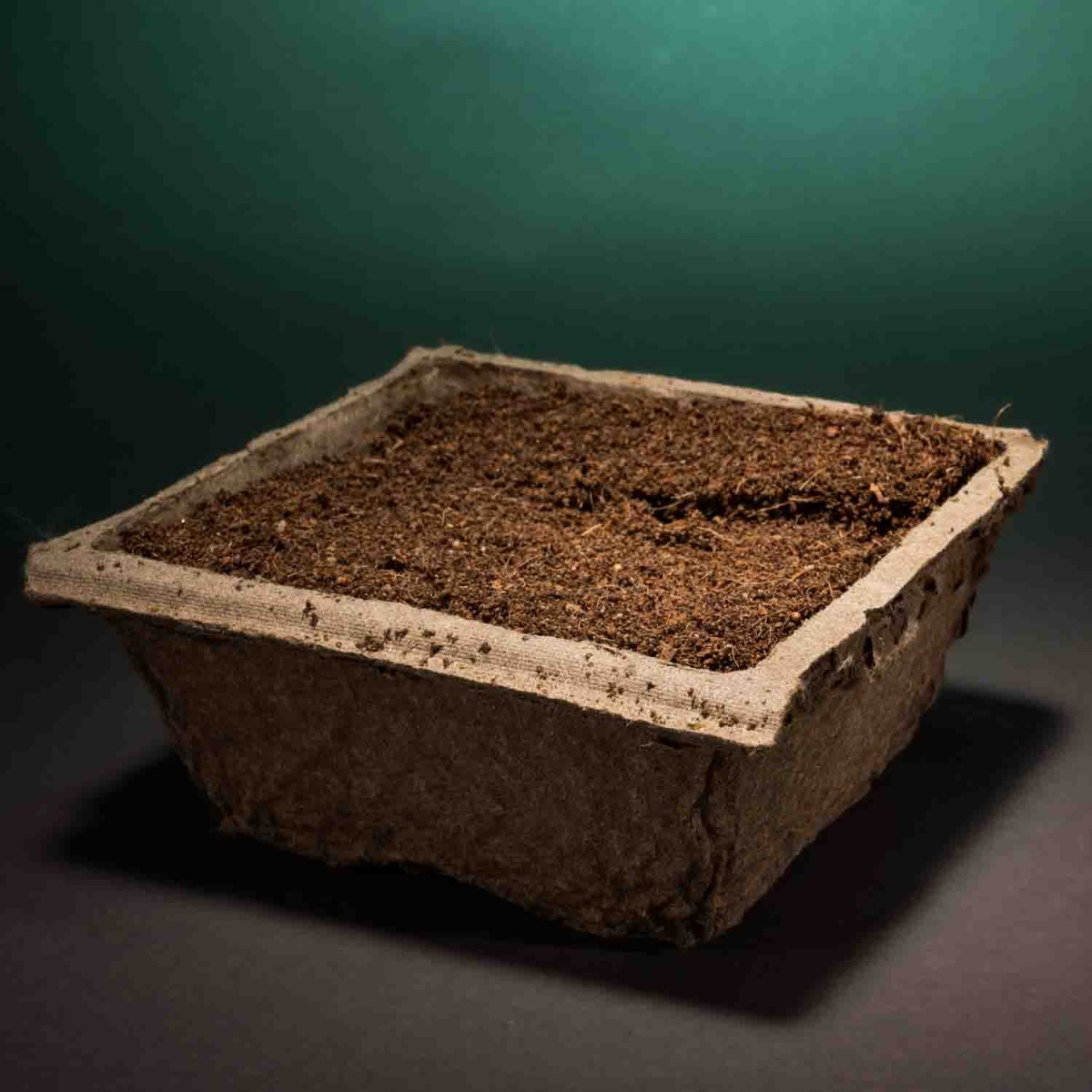 Terra-brick compostabile 8 Pezzi - 11,4x11,4 Cm