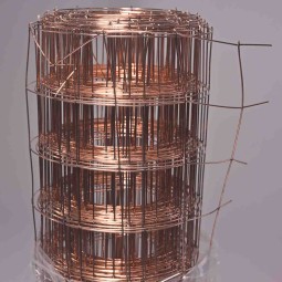 Rete metallica - 35 Cm x 5 M / Rame