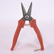 Forbici inox giardinaggio 5,5 - 15,5 Cm