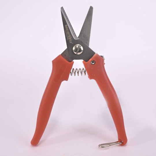 Forbici inox giardinaggio 5,5 - 15,5 Cm