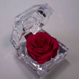 Rosa Stabilizzata "Diamante" - Fuxia JWL PIN-03