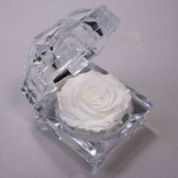 Rosa Stabilizzata "Diamante" - Bianco JWL WHI-01