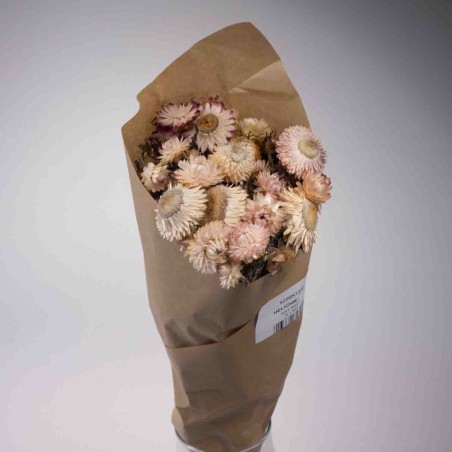 Mazzo di Helicrysum - Rosa