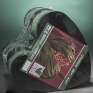 Cuore in spugna 4 Pezzi - 16x16,5x3