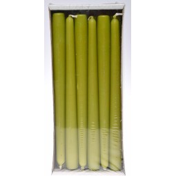 Candele coniche 12 PZ - 23x250 Mm / Verde