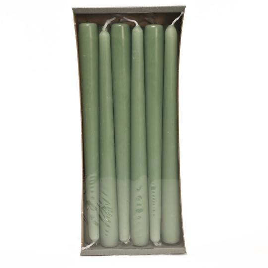 Candele coniche 12 PZ - 23x250 Mm / Verde salvia
