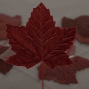 Pick di foglie in velluto - 12 Pezzi - Bordeaux