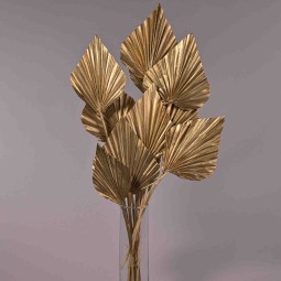 Palma essiccata in stelo 10 Pezzi - Oro