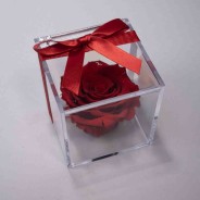Rosa stabilizzata con cubo in plaxiglass - Rosso RED-02
