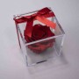Rosa stabilizzata con cubo in plaxiglass - Rosso RED-02