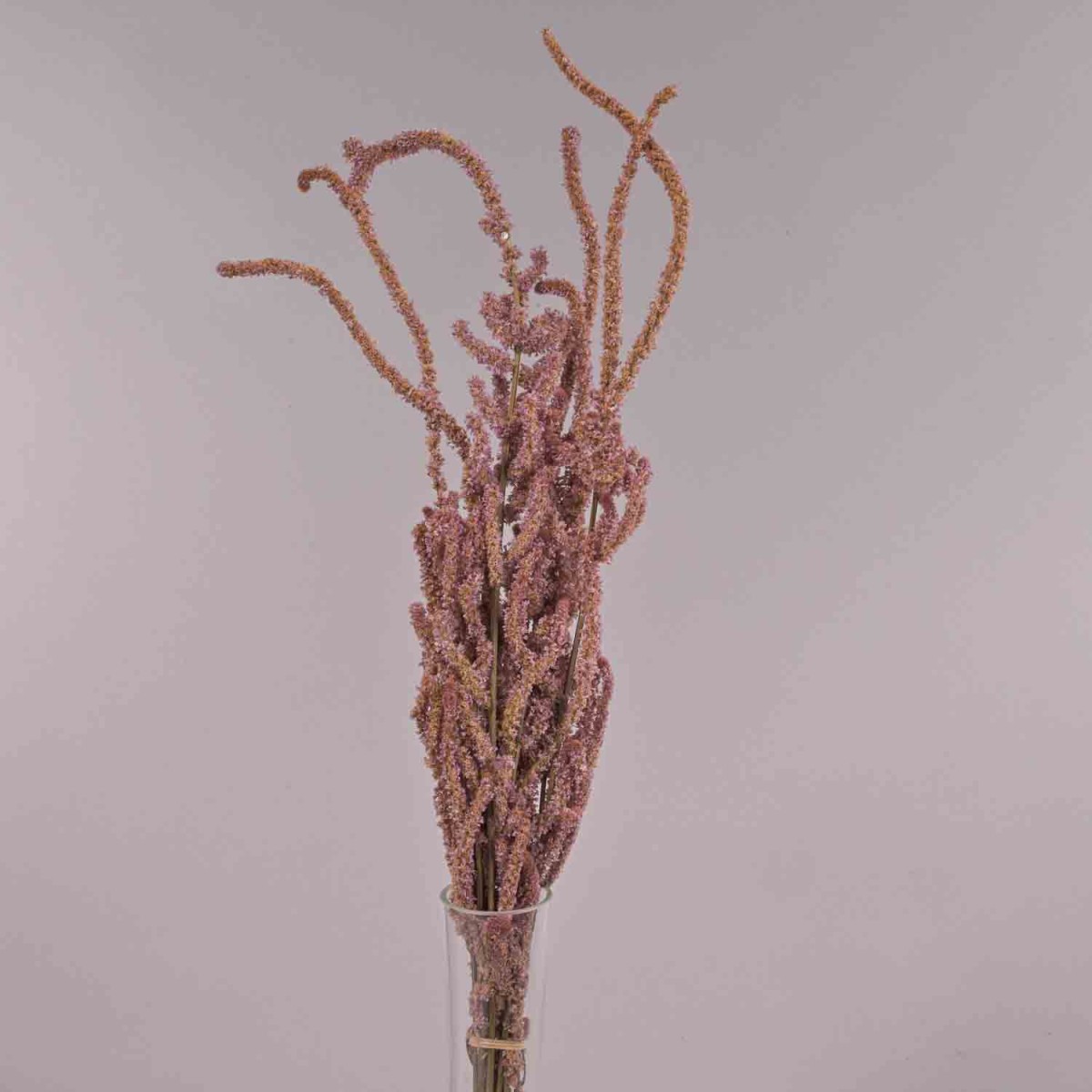 Statice Suuworowii essiccato - Rosa