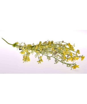 Bouquet di Gypsophila (velo da sposa) color giallo