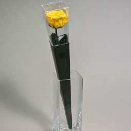 Rosa Stabilizzata in vari colori - Confezione singola - 50 Cm / Giallo YEL 02