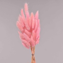 Laguris essiccato - Rosa