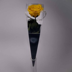 Rosa Stabilizzata in vari colori - Confezione singola - 30 Cm / Giallo scuro YEL-99