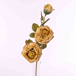 Rosa cabbage CM 75  in vari colori - Caffè