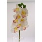 Ramo di Orchidea Cymbidium -Bianco