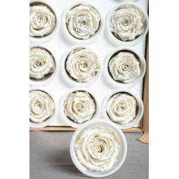 Rose Stabilizzate in vari colori - Confezione 12 pezzi - Bianco glitterato SG WHI 04