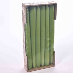 Candele coniche 12 PZ - 25x250 Mm / Verde mela