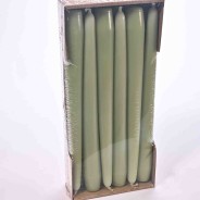 Candele coniche 12 PZ - 25x250 Mm / Verde Aloe