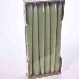 Candele coniche 12 PZ - 25x250 Mm / Verde Aloe