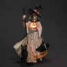 Strega in resina con zucca a LED - 20x,x15x32 Cm