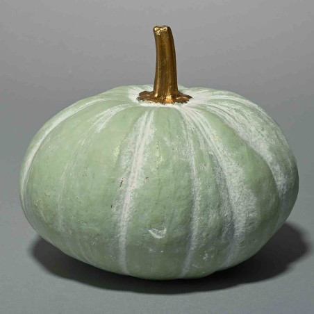 Zucca - 15x13,5 Cm / Verde menta