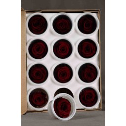 Rosa stabilizzata in vari colori - 12 pezzi - Rosso