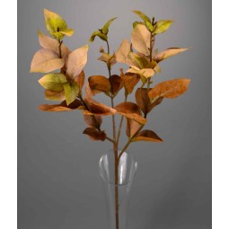 Eucalipto in ramo - 61 Cm / Verde e giallo