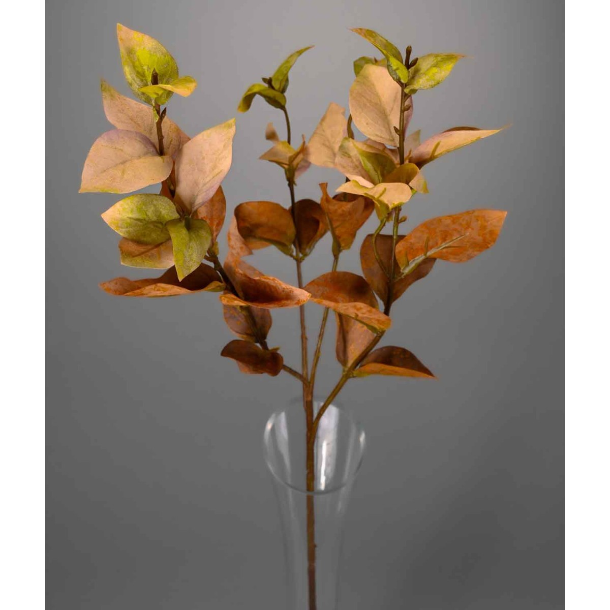 Eucalipto in ramo - 61 Cm / Verde e giallo