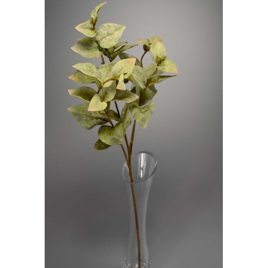 Eucalipto in ramo - 61 Cm / Verde