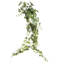 Mazzo cadente di Edera verde - 2 Misure - 180 cm