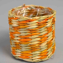 Vasi in "Erba" - 7x7 Cm / Assortiti