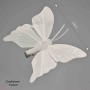 Farfalle con clip 6 PZ - 6 Cm / Bianco