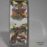 Uccellini su pick 12 PZ - 2,5 Cm / Mix Color