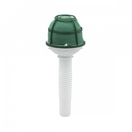 Portabouquet "Little Lady" 6 PZ - 5x15 Cm